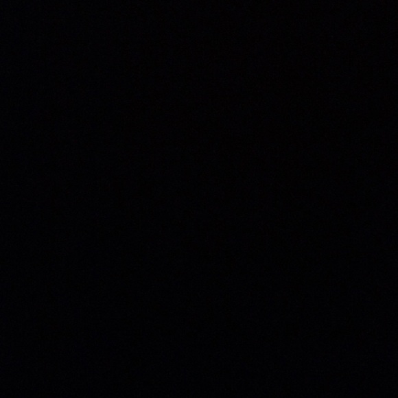 stephydarling