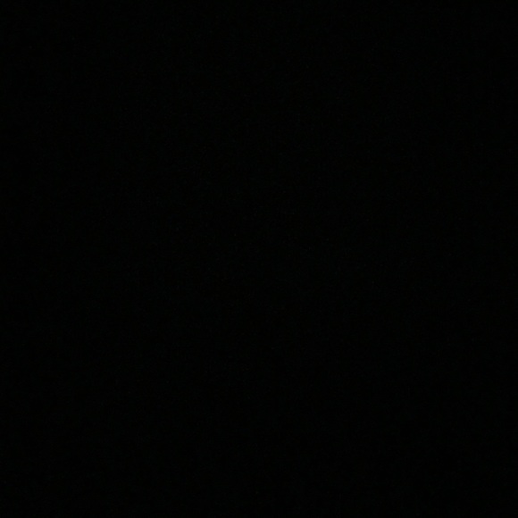 pug1