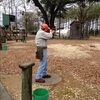 pawpaw3