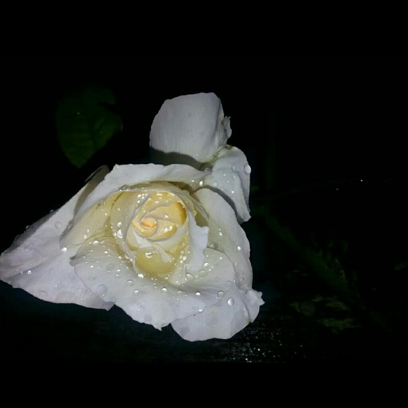 ajbair0918