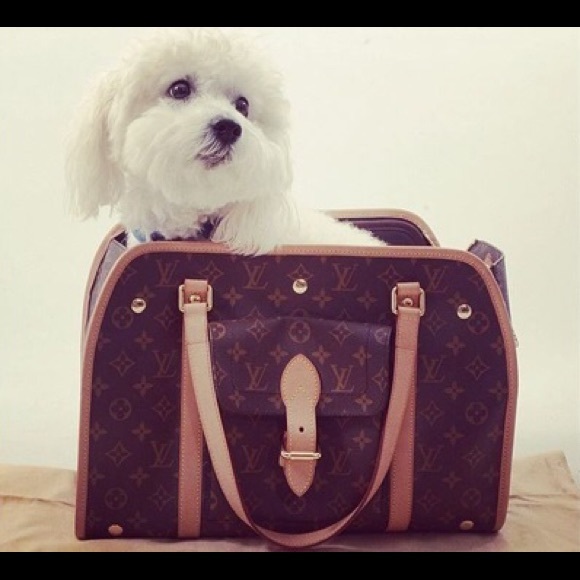 poshmarkcashbag