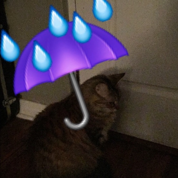 uhhuhrenee