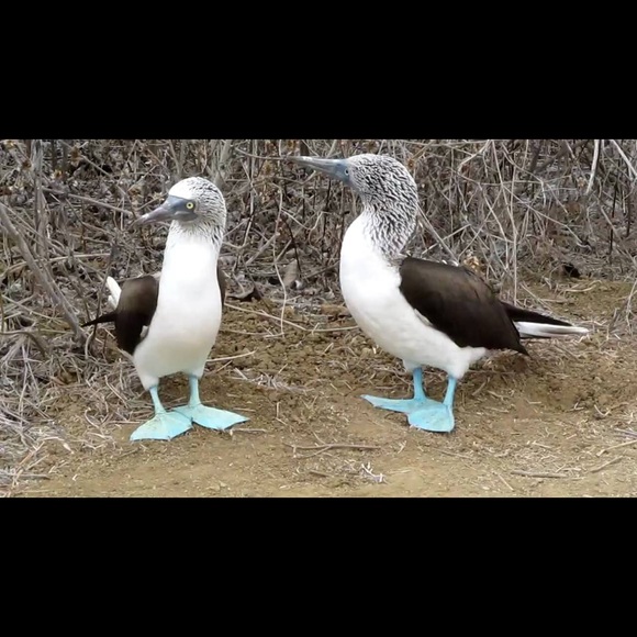 jfkjsns