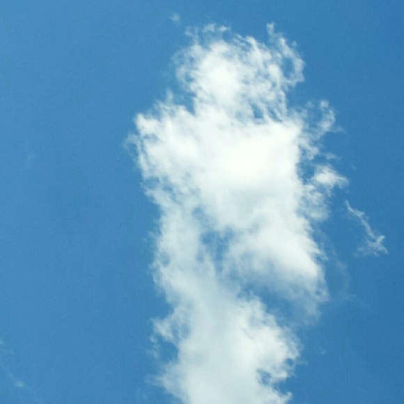 mso1205
