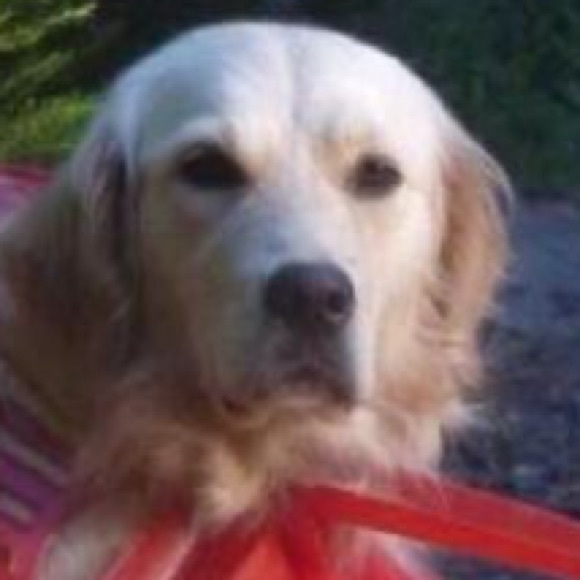 Poshmark profile picture for @matj