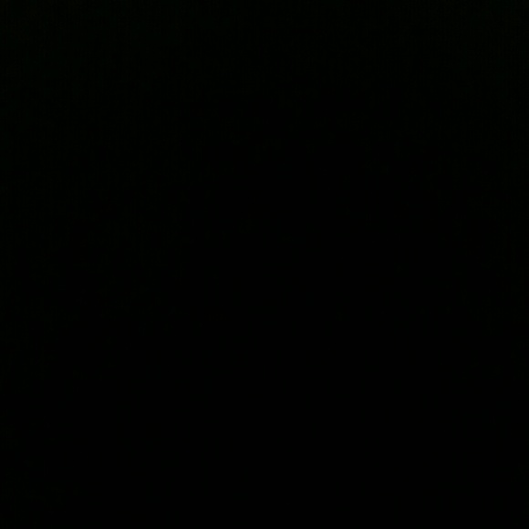cspdanielle