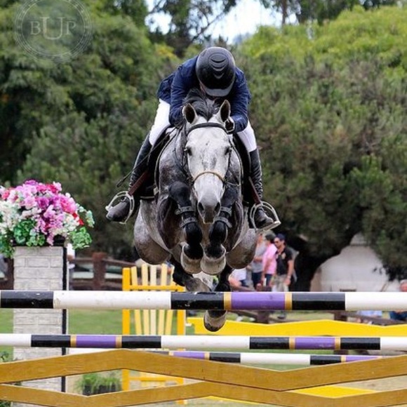 showjumper