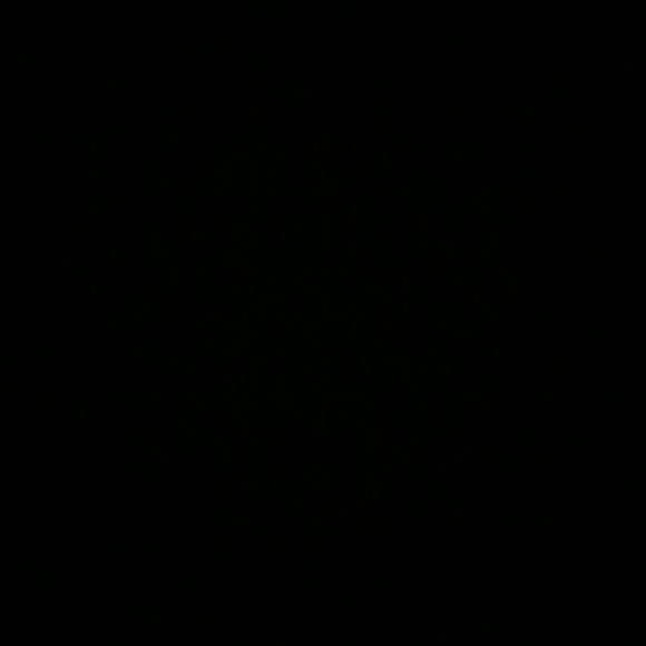 cdizzld