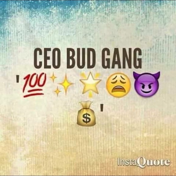 mipceo