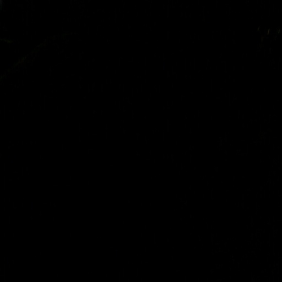 skythelimit