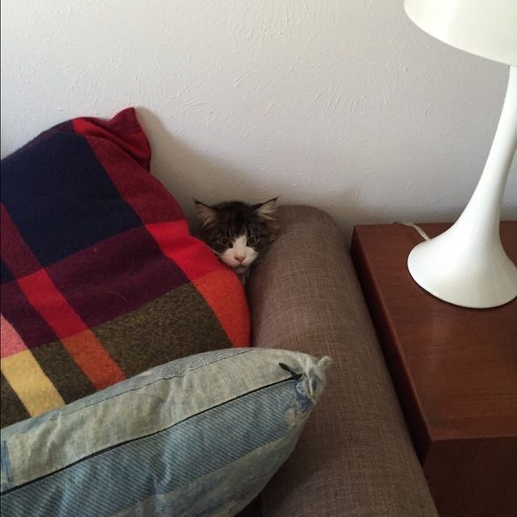 ahkmewmeow
