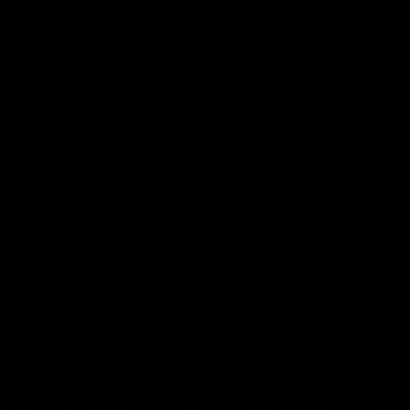 nt27