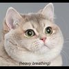 otheralyssa