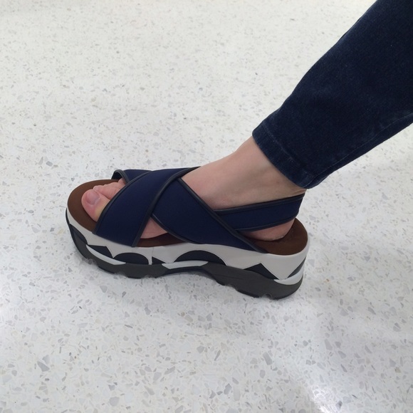 subtropicos