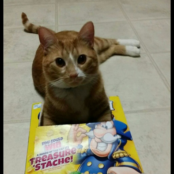 teesh74