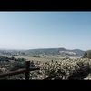 enidltroy