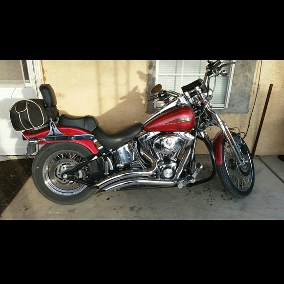 bigdogsoftail