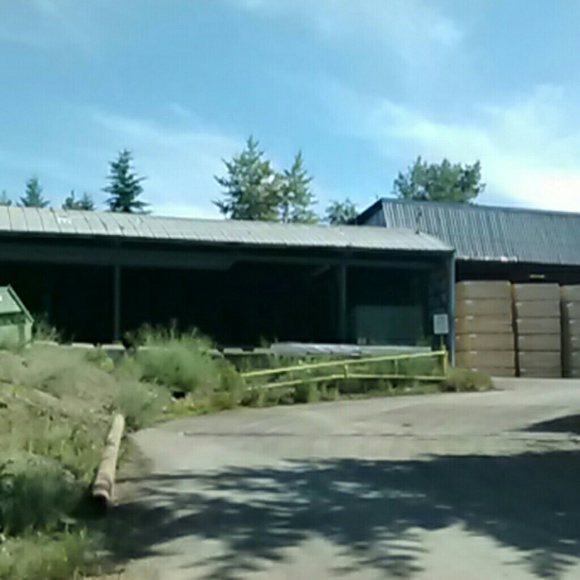 braheen