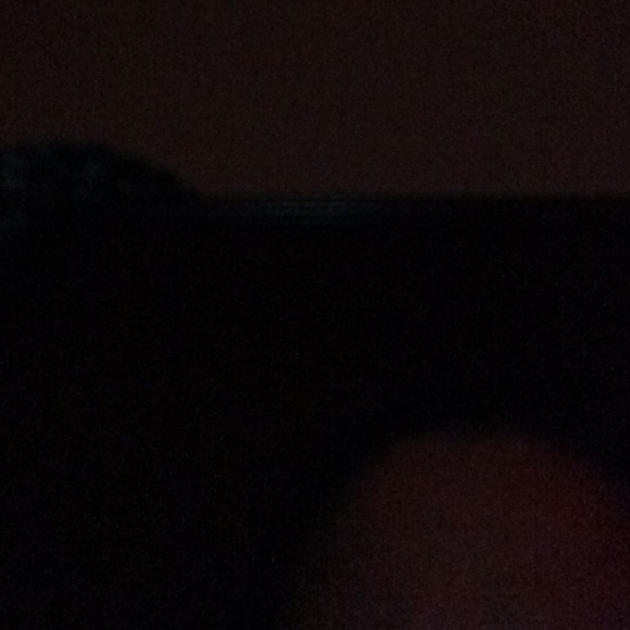 shellylee1