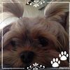 steph_6509