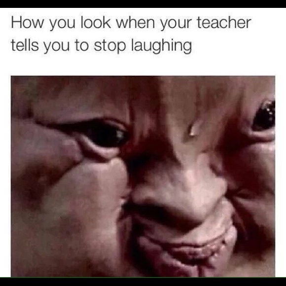 bdiwkkwjc