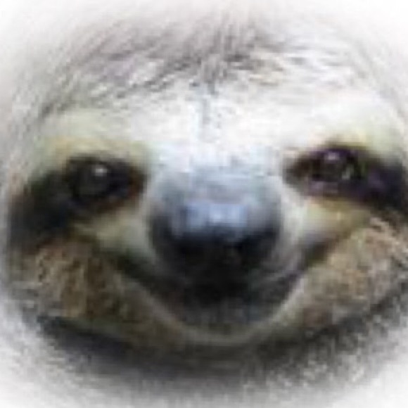 slothrain