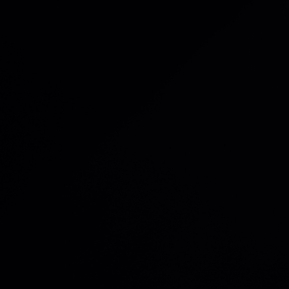 palpkaa