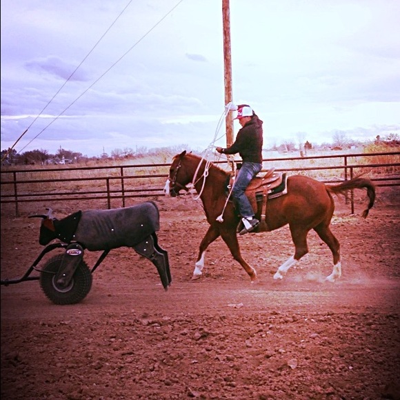 tyteamroping96