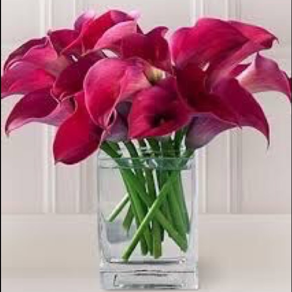 florentina_lim
