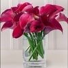 florentina_lim