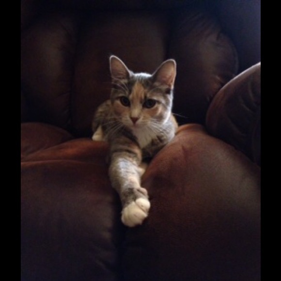 winnigirl