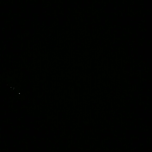 brissaali01