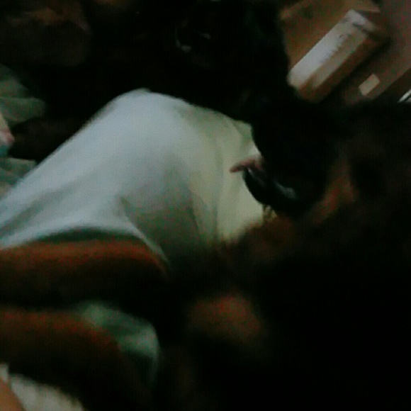 brendacomp