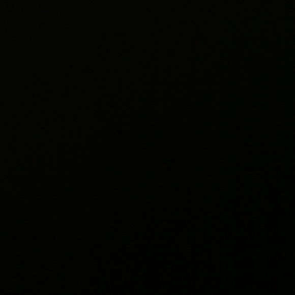 lexiturner536