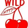 wildcherry501