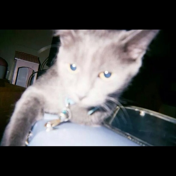 ninaelaurie