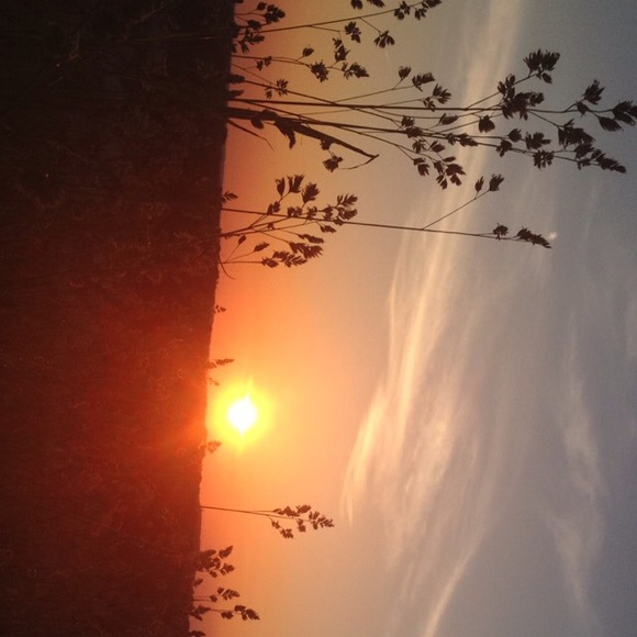 sidney_11
