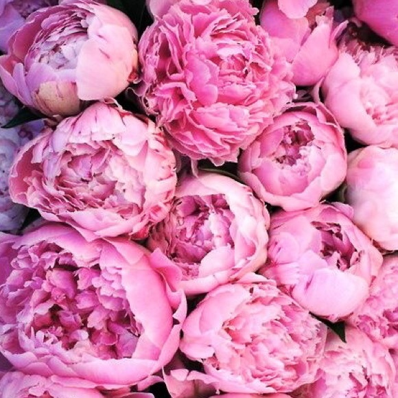 the_kate_spade