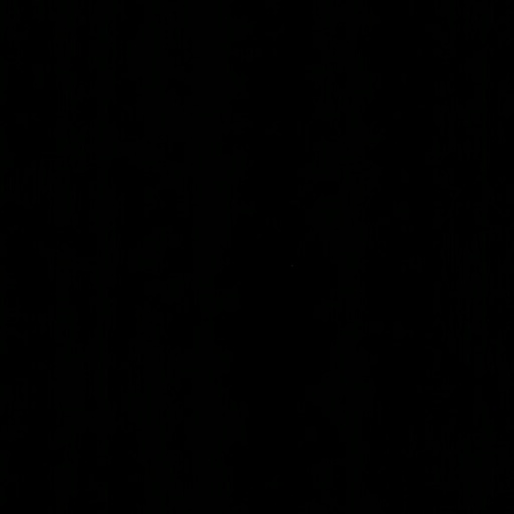 csrousel_21