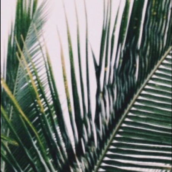Poshmark profile picture for @wonderfully