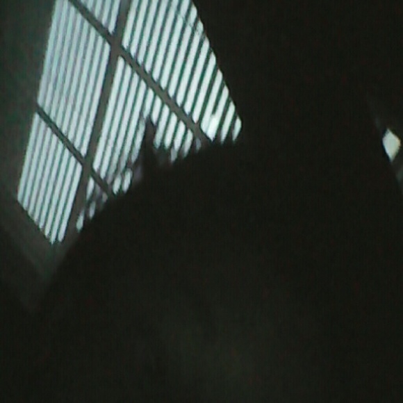 brianna_esteppe