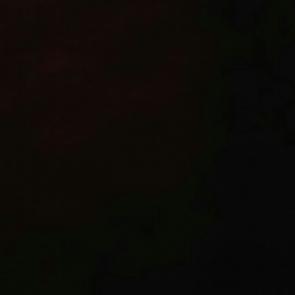 shantale6