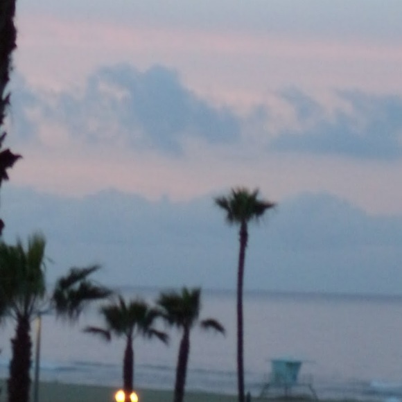 78palmtrees
