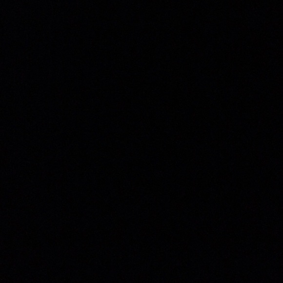 kaylieheilig