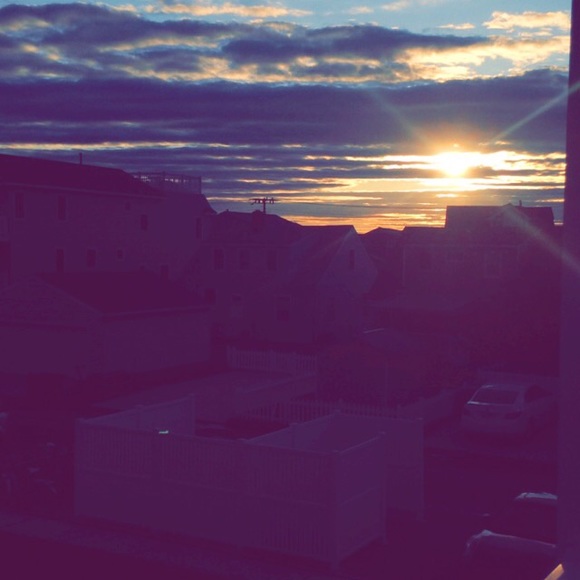 _bellarr_