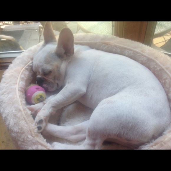 priscilla098