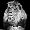 theking019