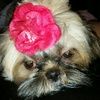 andrea43701