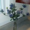 clvining2