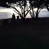 lauren_808
